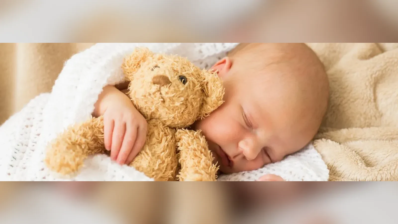 mikroenjeksiyon ICSI işleminde tek spermin yumurtaya enjekte edilmesi