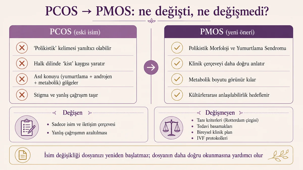 PCOS PMOS terminoloji karşılaştırma matrisi: eski isim yanıltıcı çağrışımları ve yeni Polikistik Morfoloji ve Yumurtlama Sendromu çerçevesi, değişen ve değişmeyen alanlar